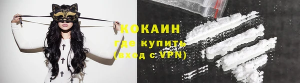 шишки Балабаново