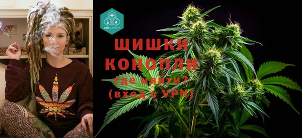 шишки Балабаново