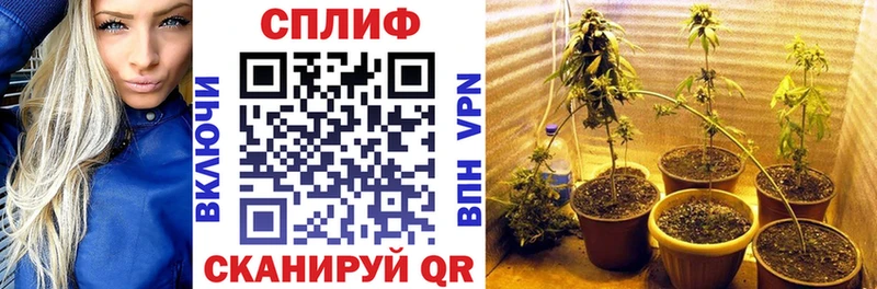 Конопля VHQ  omg как зайти  Суворов 